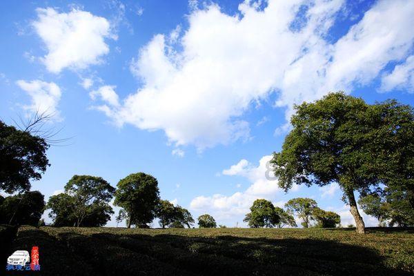 进完达山、到珍宝岛，用行走铭记岁月，此旅程提气到无法言表